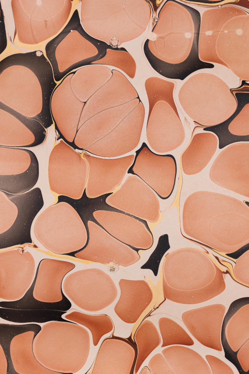 Glad & Young Studio - Meet & Greet Wallet: Champagne Problems