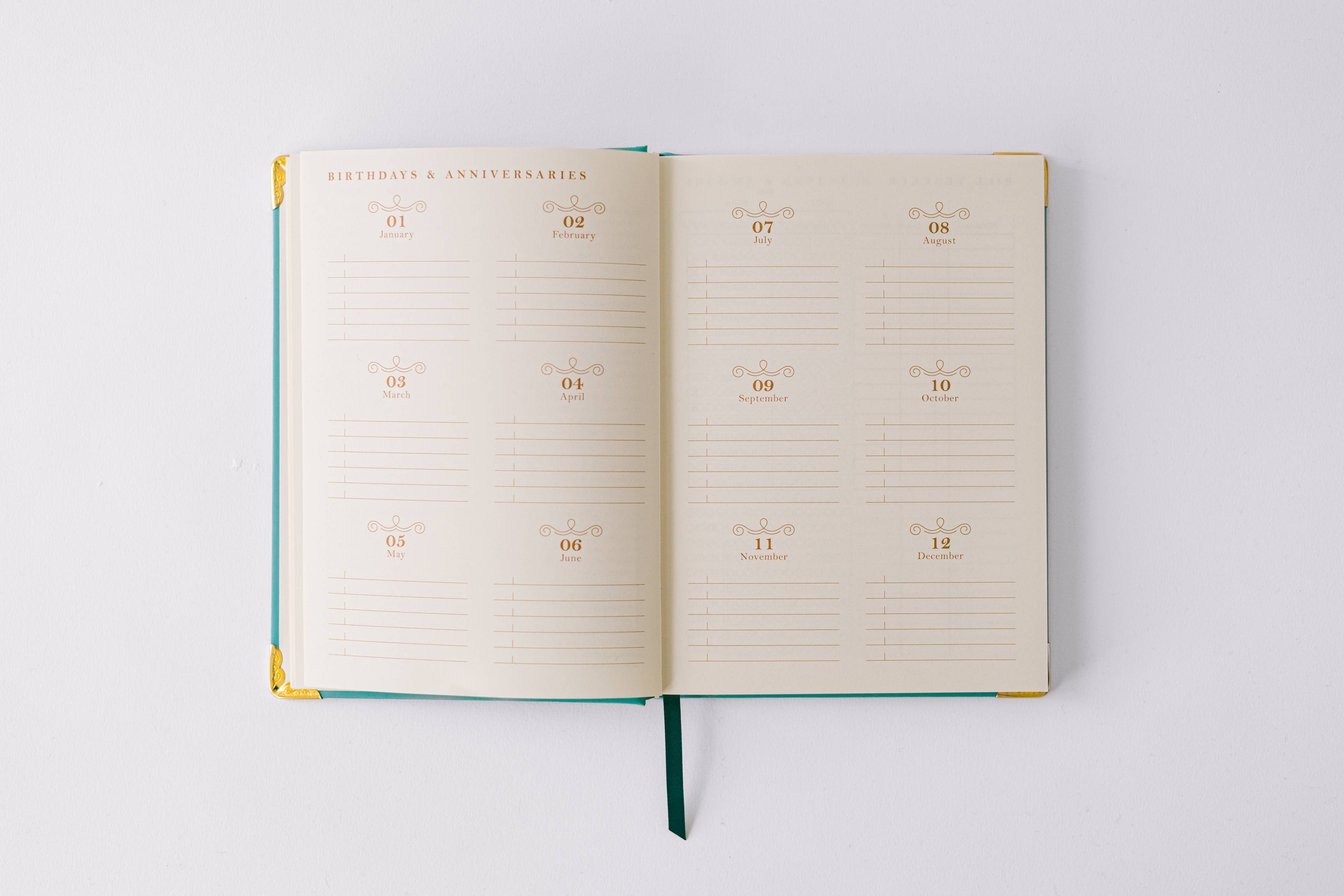 Good Juju Ink - 2026 Painted Frame 17-Month Medium Bound Planner