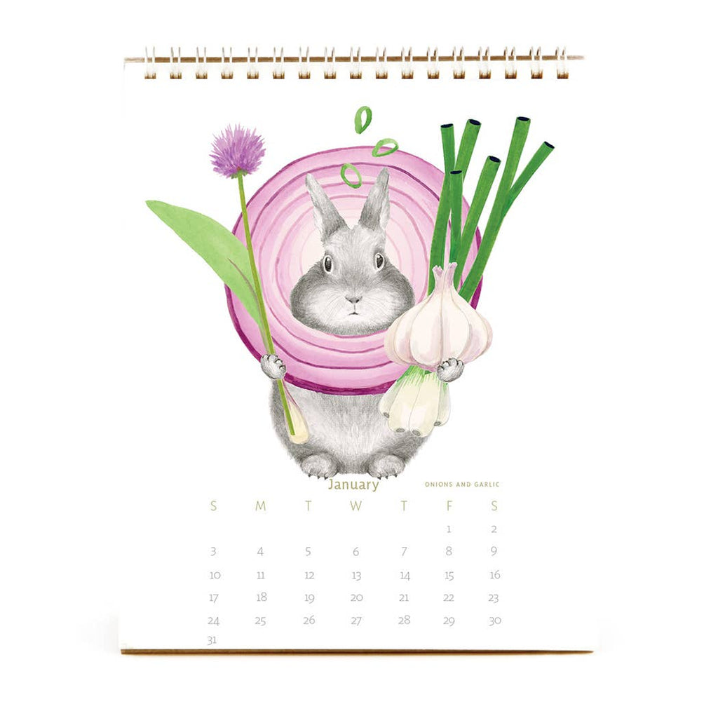 Dear Hancock - The 2027 Bunny Calendar