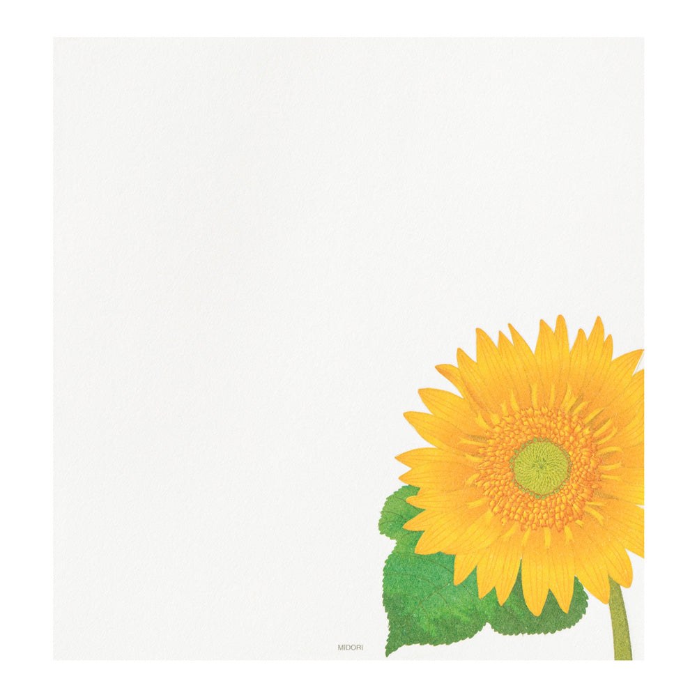 Midori Letter Pad 025 Four Designs Sunflower