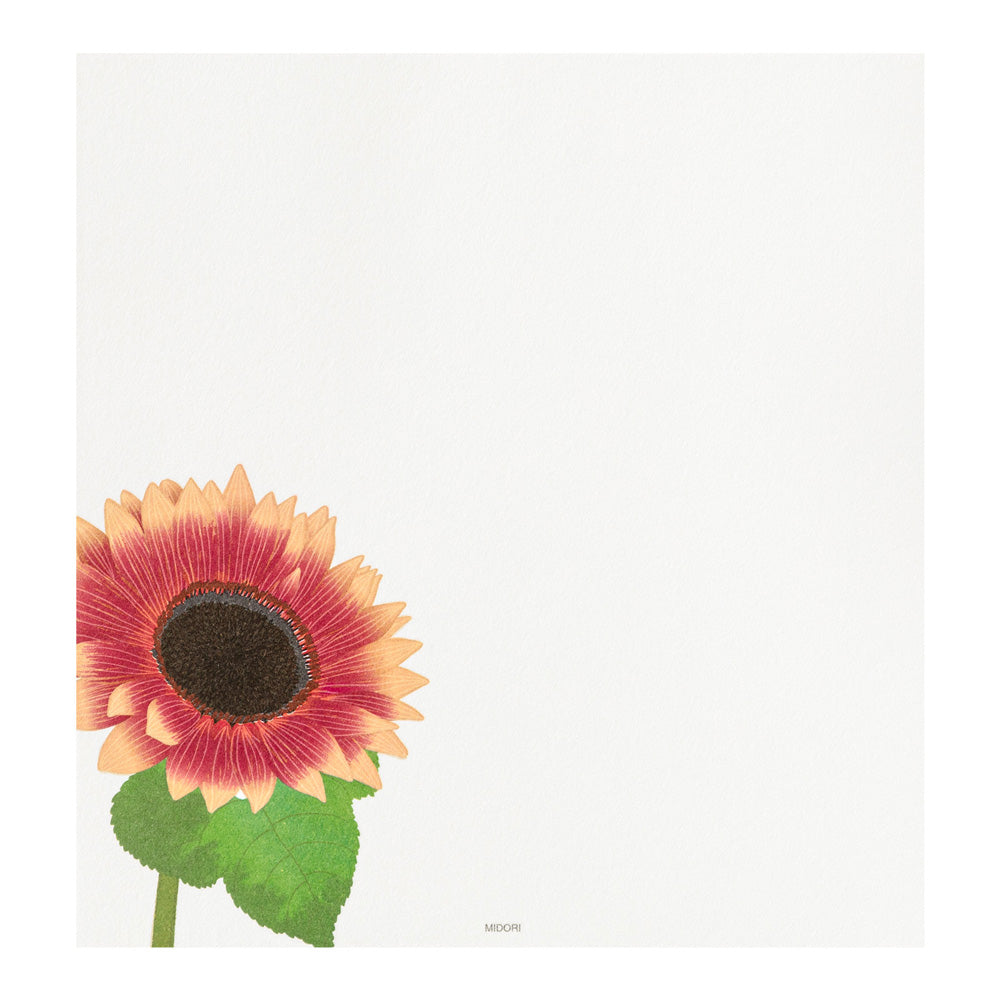 Midori Letter Pad 025 Four Designs Sunflower