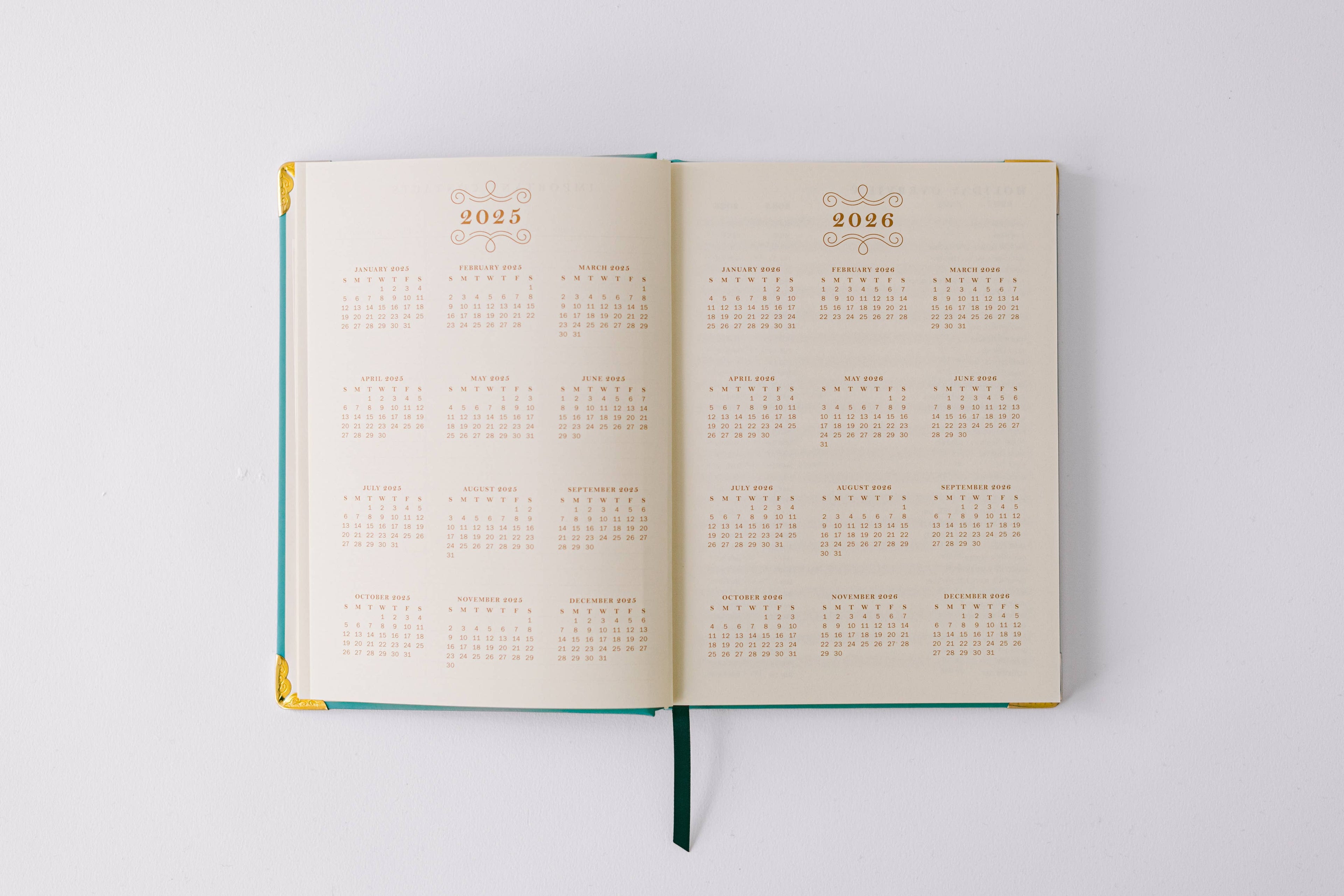 Good Juju Ink - 2026 Painted Frame 17-Month Medium Bound Planner