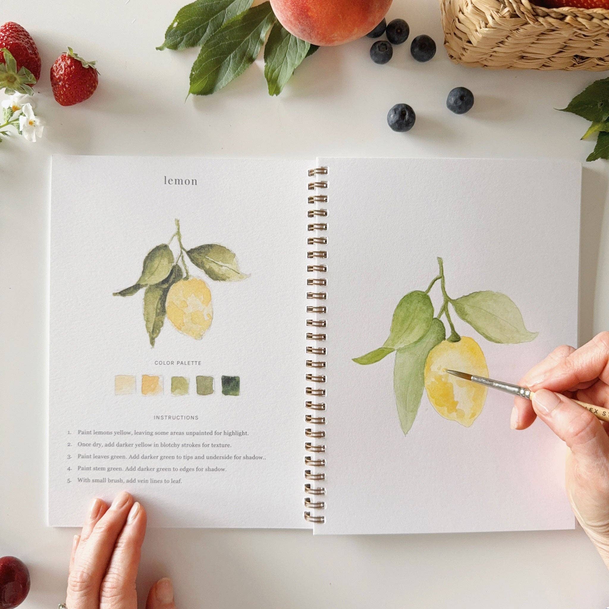 emily lex studio - Fruit watercolor workbook