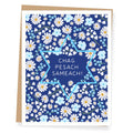 Apartment 2 Cards - Chag Pesach Sameach Passover Card