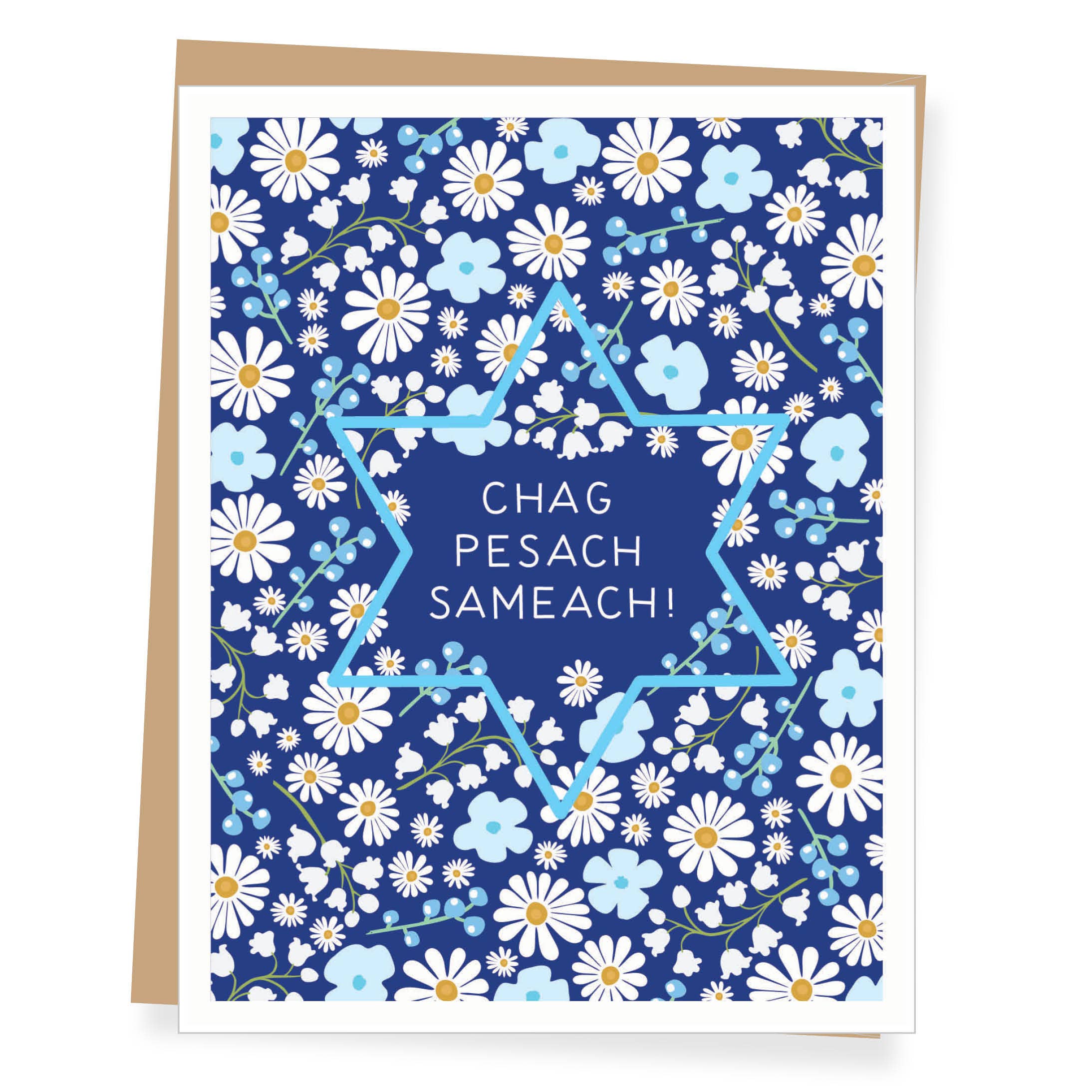 Apartment 2 Cards - Chag Pesach Sameach Passover Card