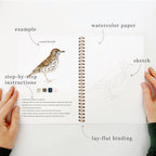 emily lex studio - Birds watercolor workbook