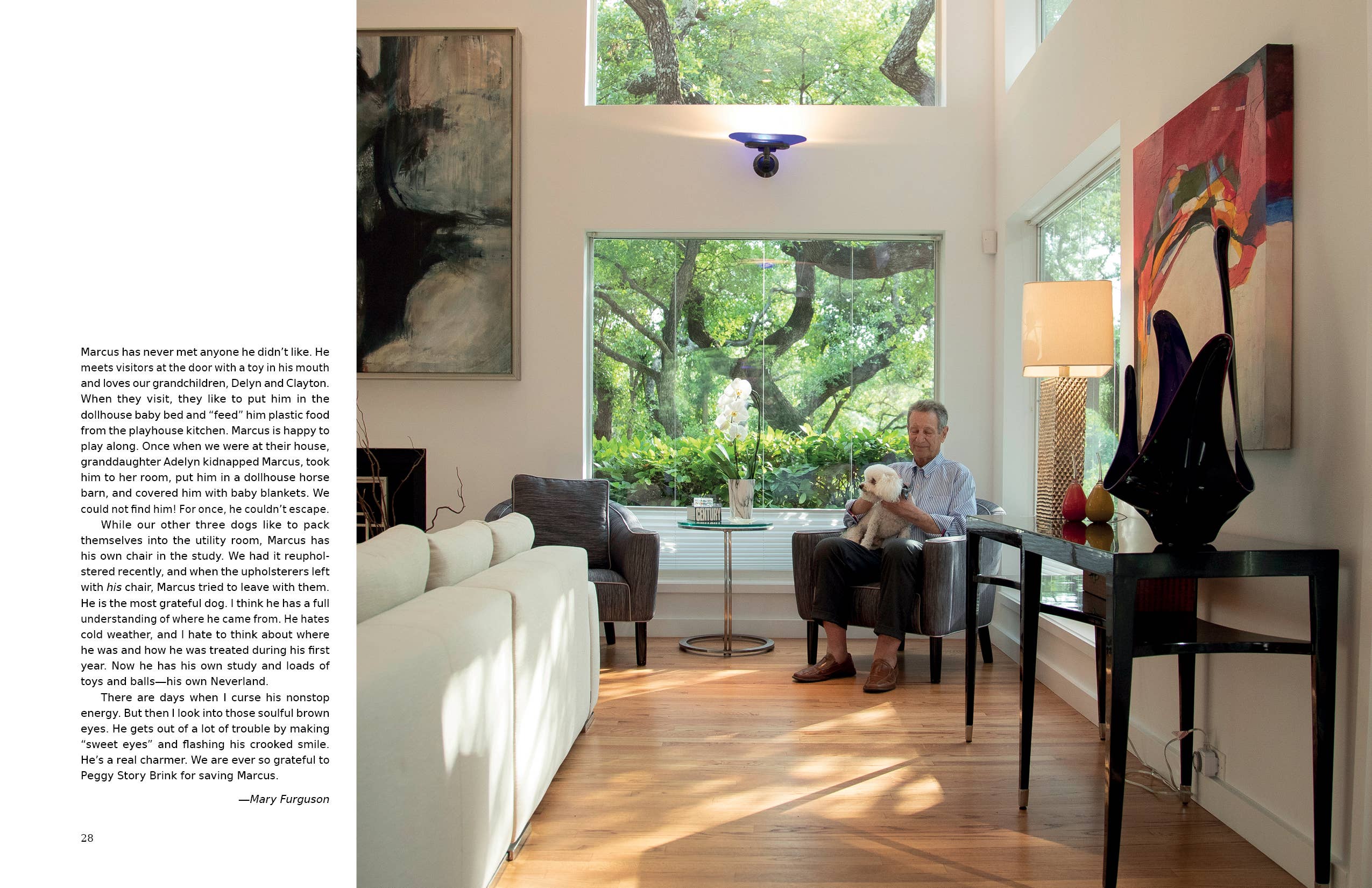 Schiffer Publishing - At Home with Dogs: Rescue Love Stories