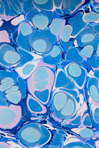 Glad & Young Studio - Meet & Greet Wallet: Champagne Problems