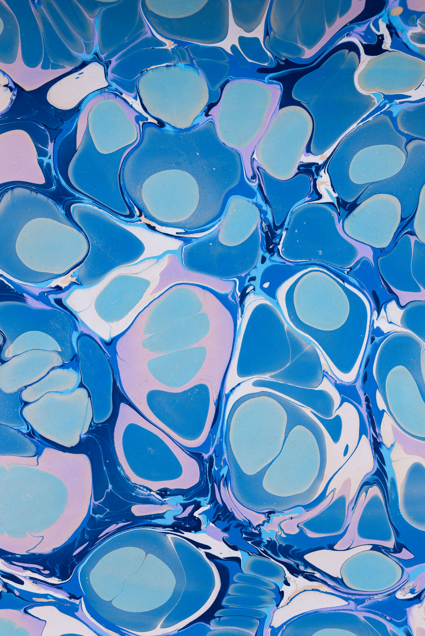 Glad & Young Studio - Meet & Greet Wallet: Champagne Problems