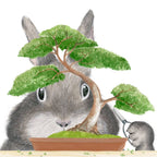 Dear Hancock - Bonsai Bunny Card
