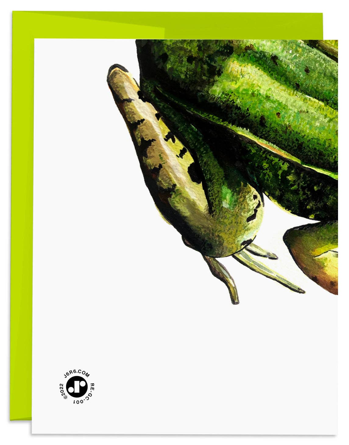 J6R6 - Frog Birthday Card