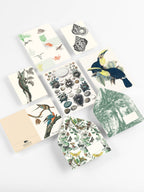 Pepin Press - Natural History Correspondence Set
