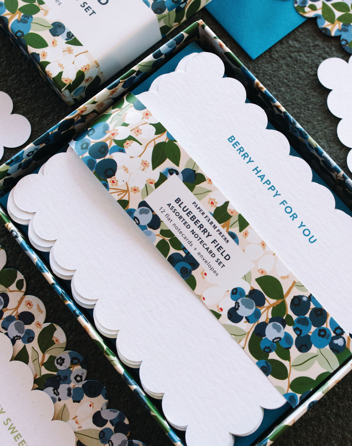 Paper Farm Press, Blueberry Field Assorted  Notecard Set