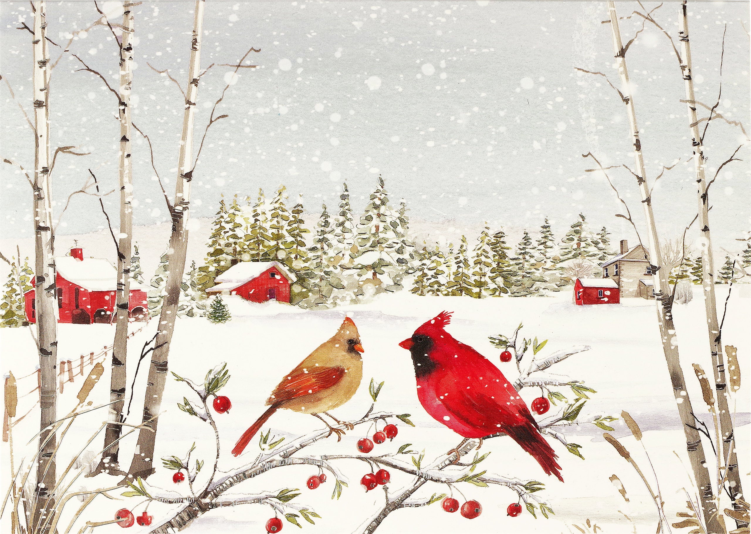 Peter Pauper Press Inc, - Cardinals in Winter Deluxe Boxed Holiday Cards