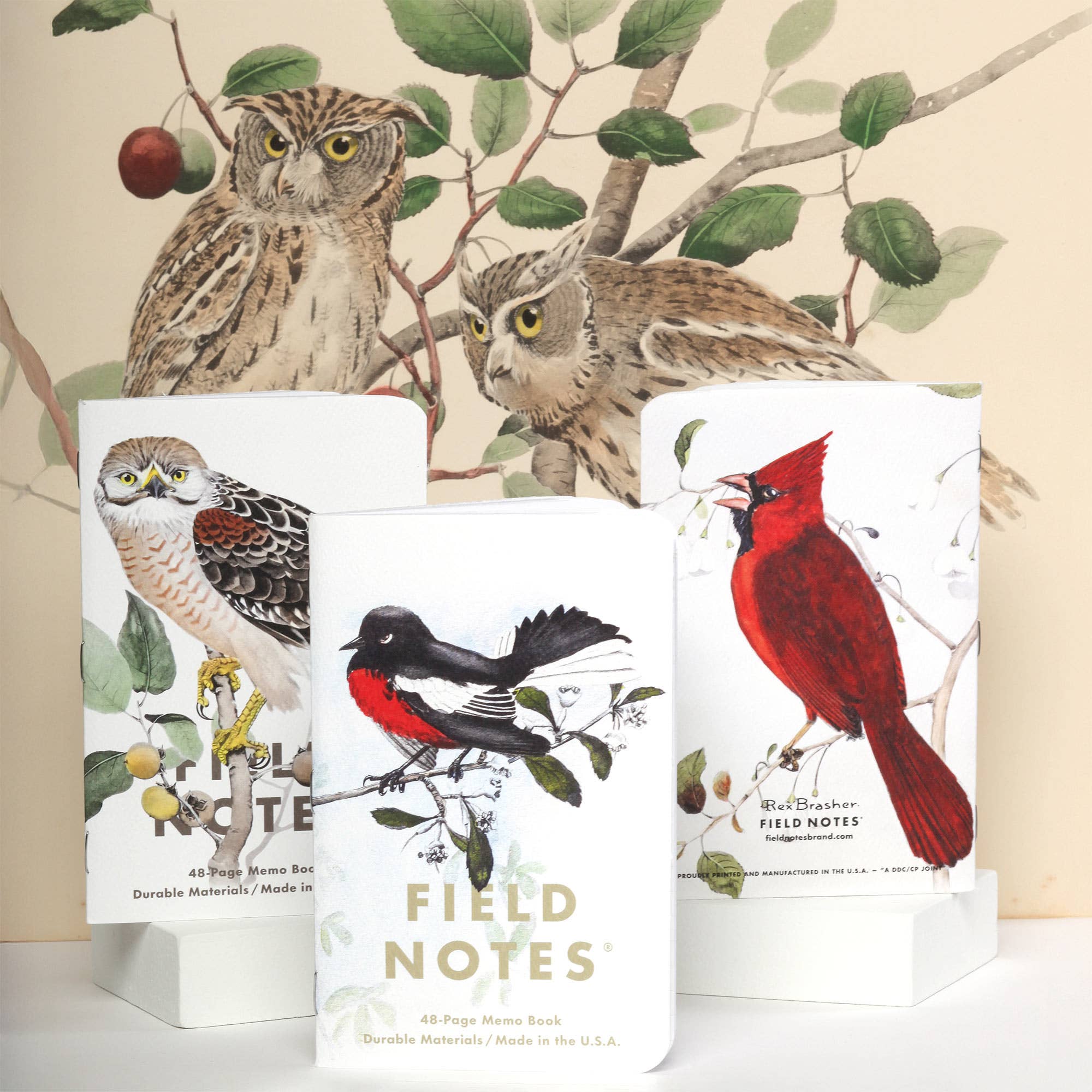 Field Notes - Birds and Trees of North America: Pack A: Screech Owl, Blue Jay, Brewer Sparrow
