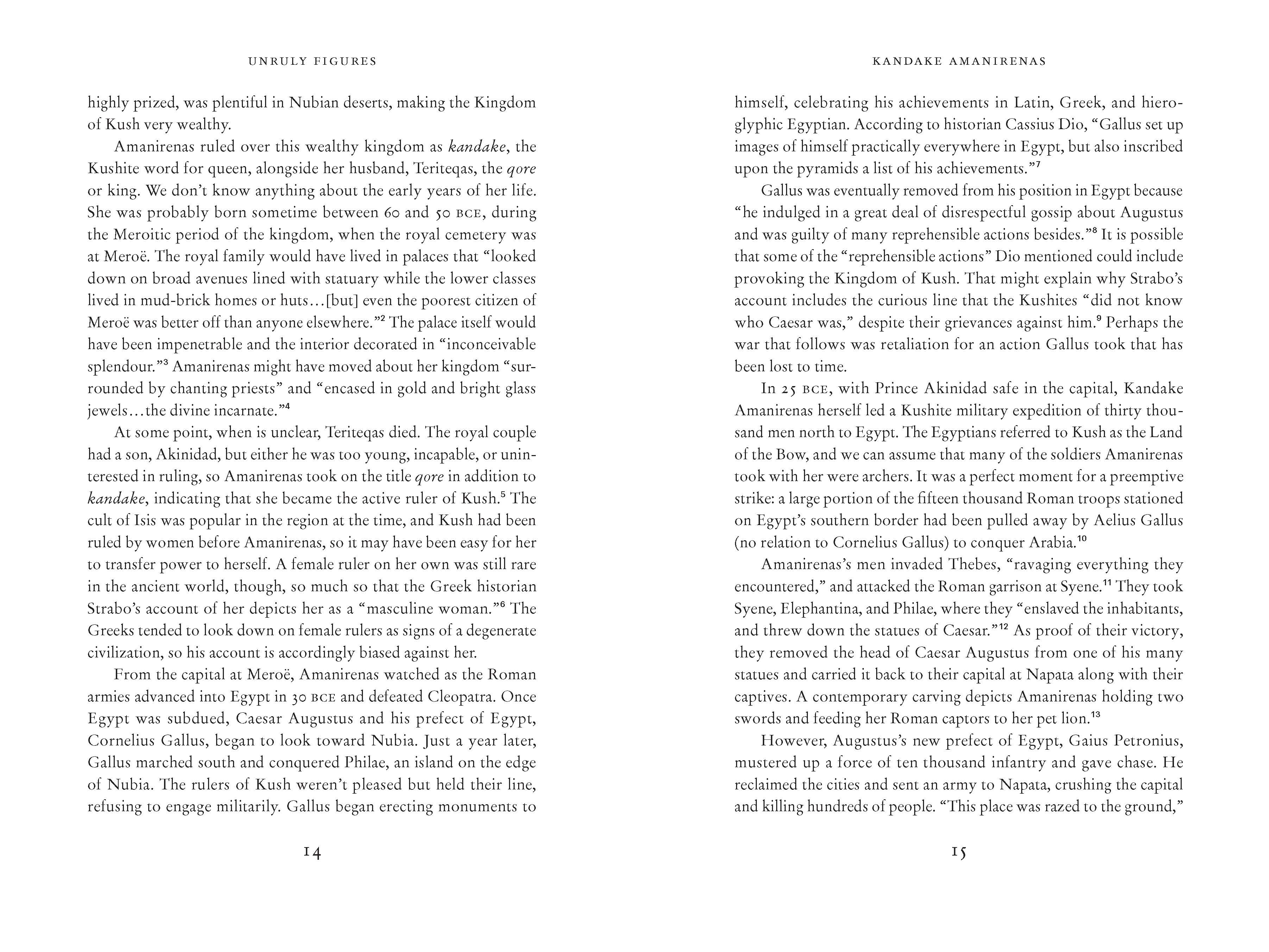 Chronicle Books - Unruly Figures