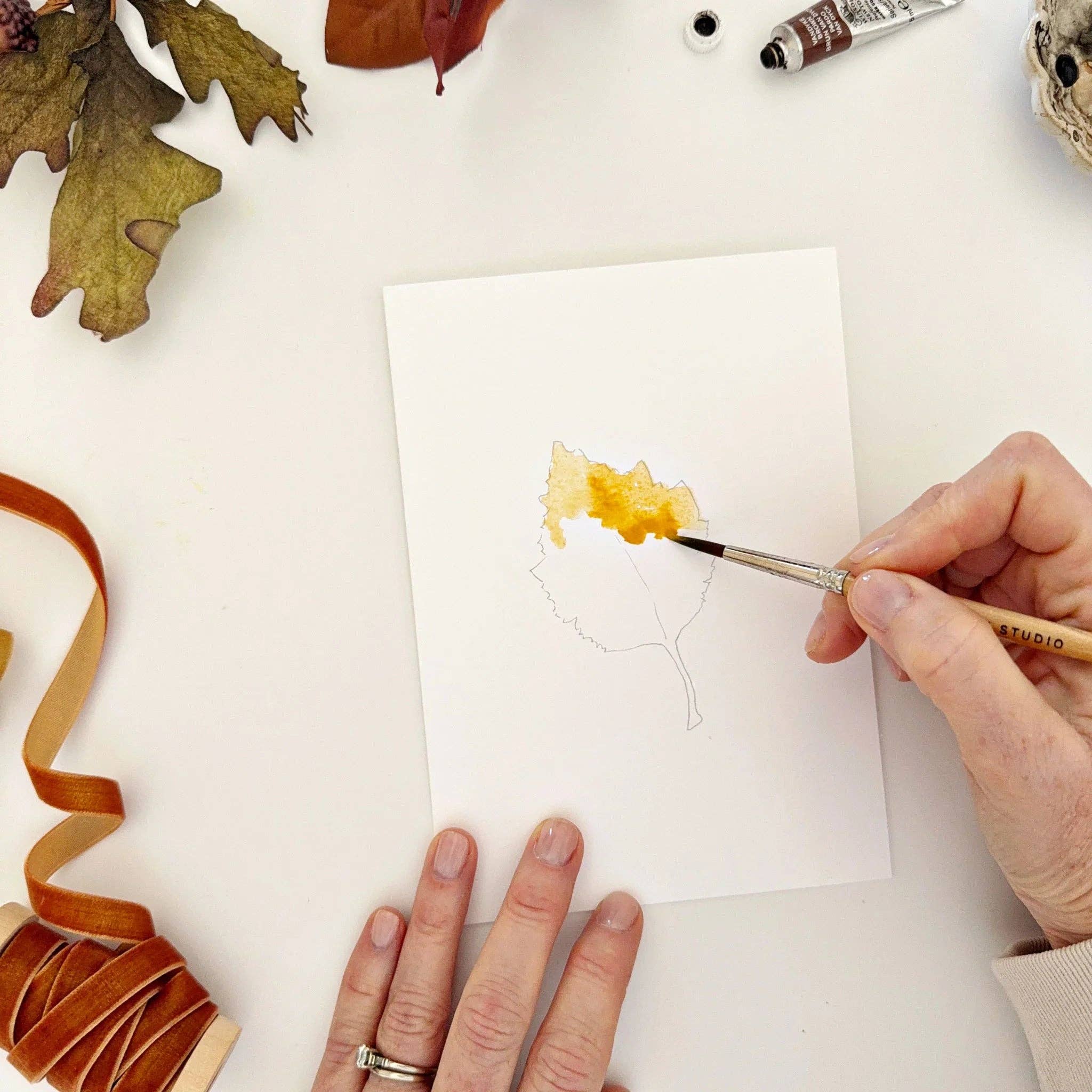 emily lex studio - Fall leaves paintable watercolor notecard set