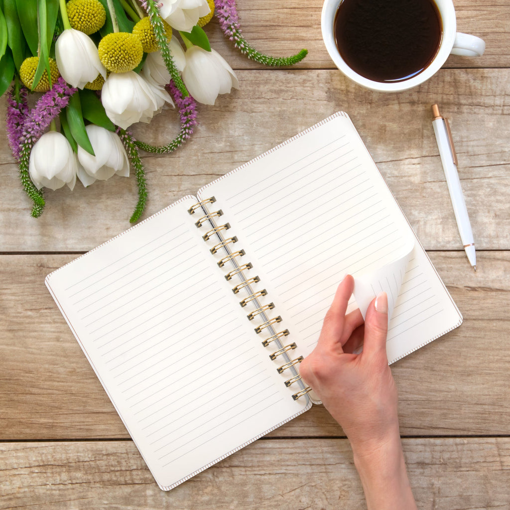 Studio Oh!, Organized Chaos (Cinnamon Brown) Agatha Notebook
