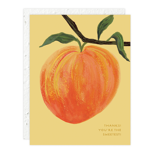 Seedlings, Peach Thank You Card