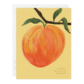 Seedlings, Peach Thank You Card