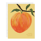 Seedlings, Peach Thank You Card