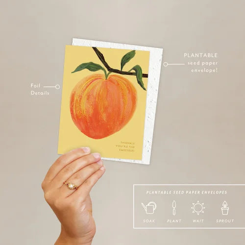 Seedlings, Peach Thank You Card