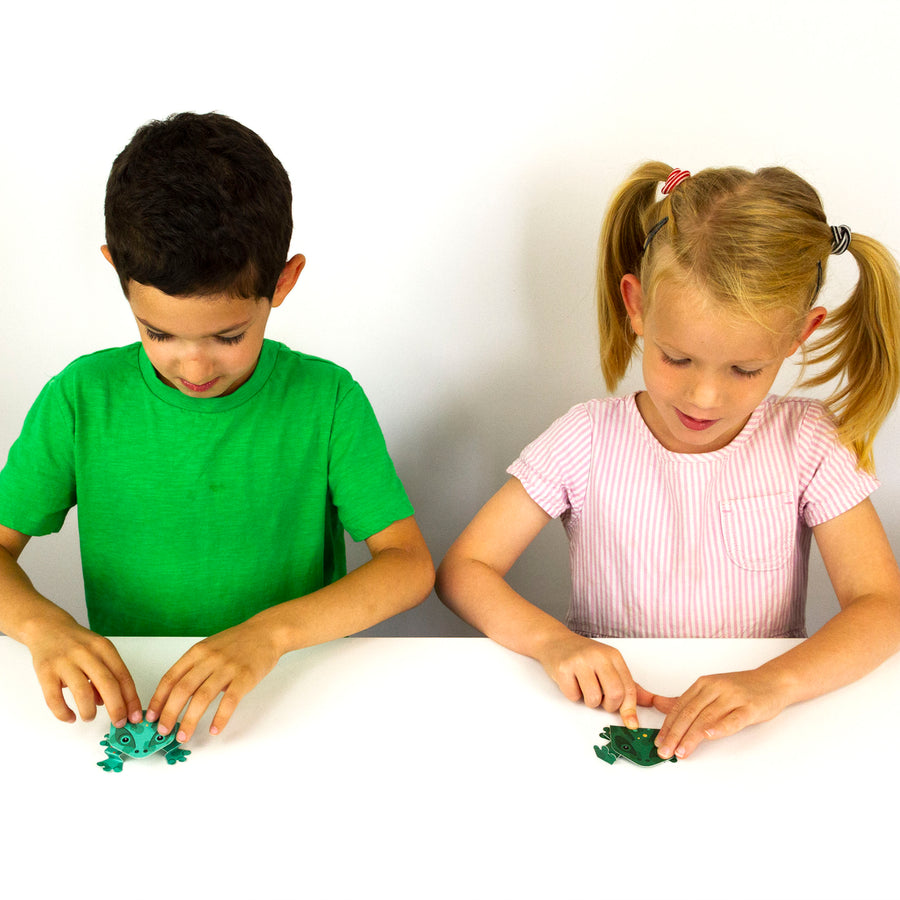 Create Your Own Jumping Frogs Craft Kit