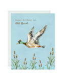 Darling Lemon, Happy Birthday Old Quack