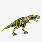 Build A Giant T-Rex Craft Kit