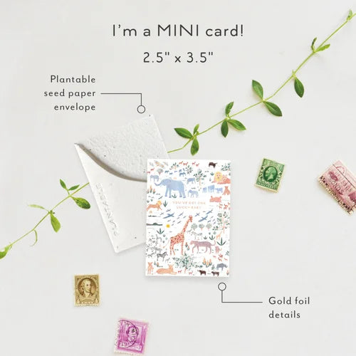 Seedlings - Lucky Baby Sprout | Mini Baby Card