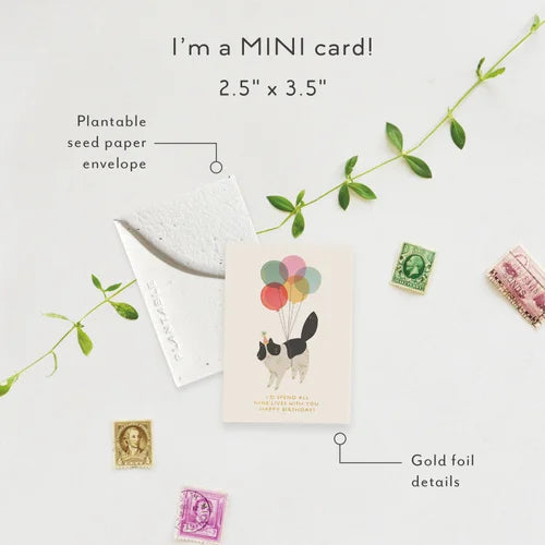 Seedlings - Birthday Kitty Sprout | Mini Birthday Card