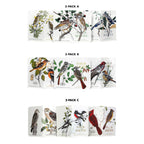 Field Notes - Birds and Trees of North America: Pack B: Pine Grosbeak, Baltimore Oriole, Sulphurbelly Flycatcher