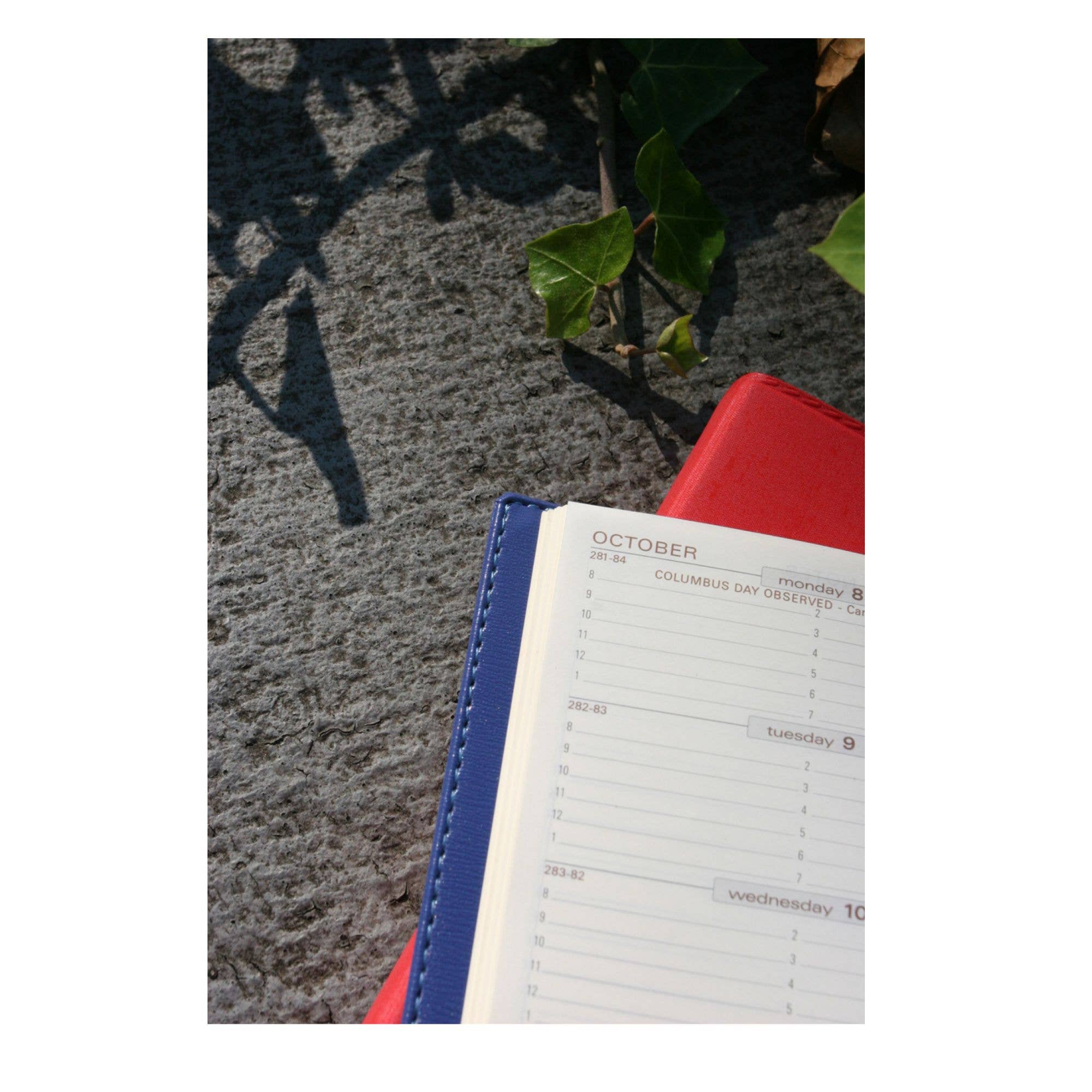 Exacompta 2026 Pocket Planner - "Space 17" : Refill Only