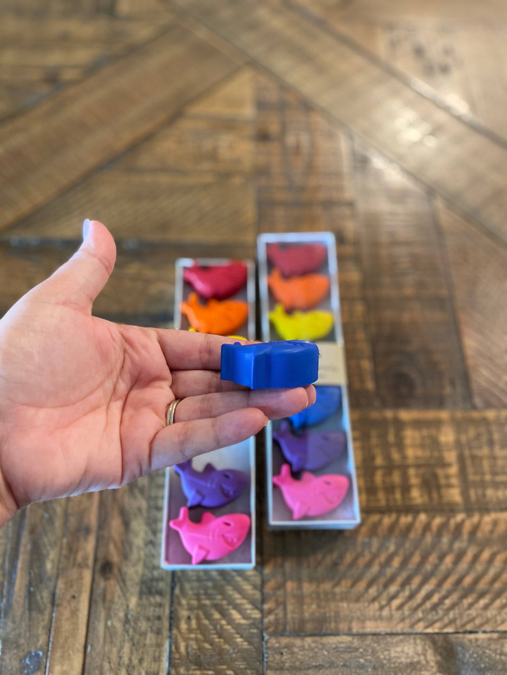 Playful Roots - Sharks Gift Set