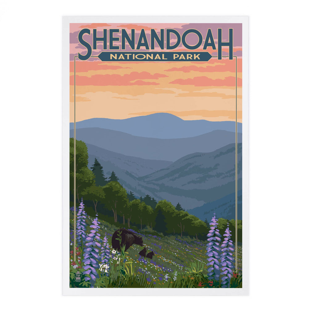 Lantern Press - PREMIUM POSTCARDS Shenandoah National Park, VA, Black Bears