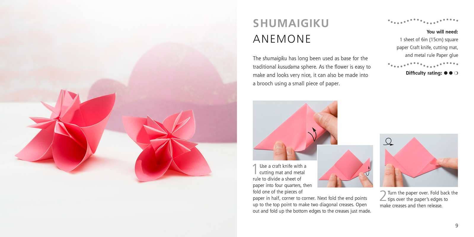 Simon & Schuster - Origami Flowers and Birds by Mari Ono: Paperback; 64 pages / English