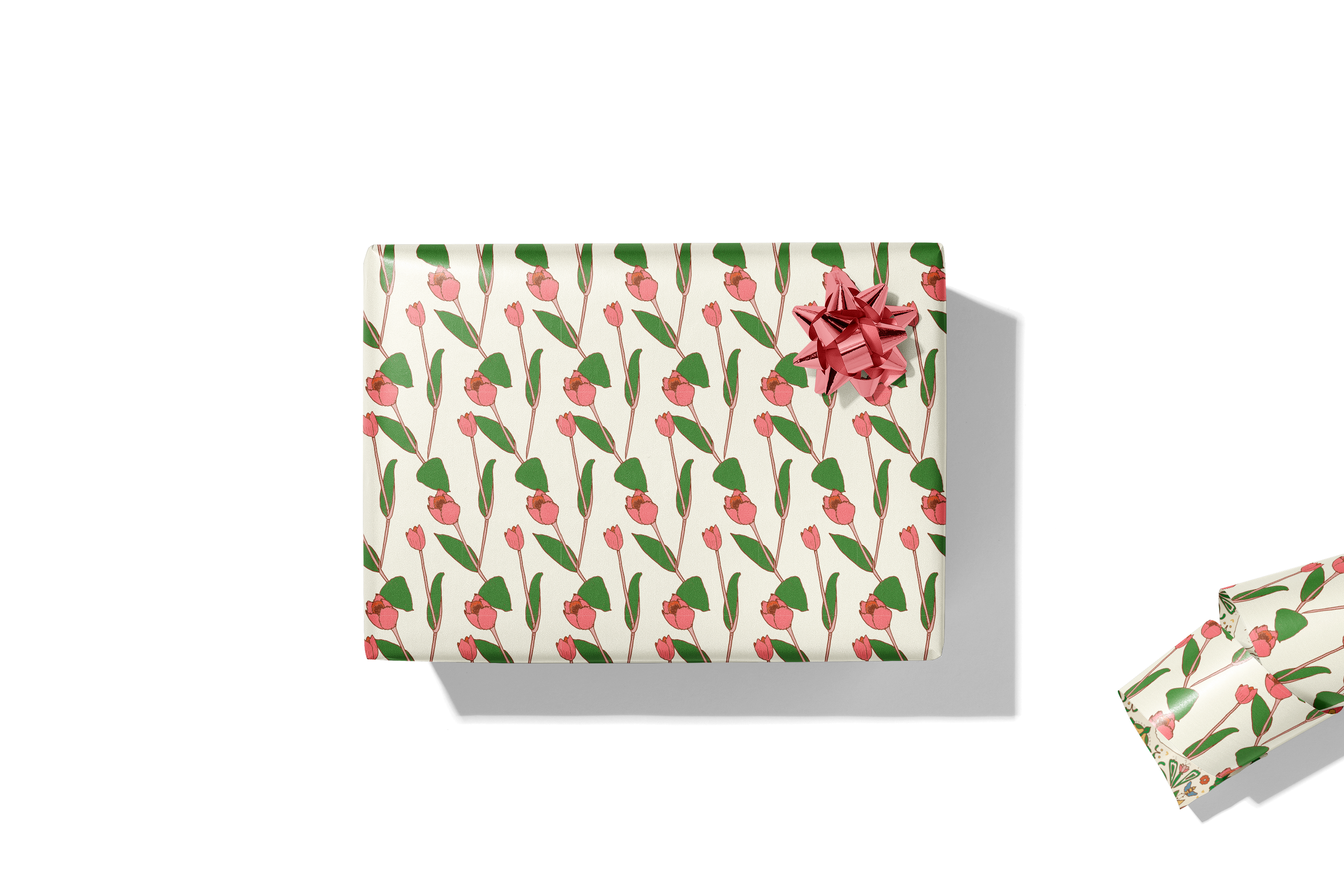 re:mused studio - Cambrifornia Gift Wrap Sheet – Double Sided