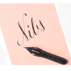 Brause Calligraphy Nib #361 Steno/Blue Pumpkin - Box of 3