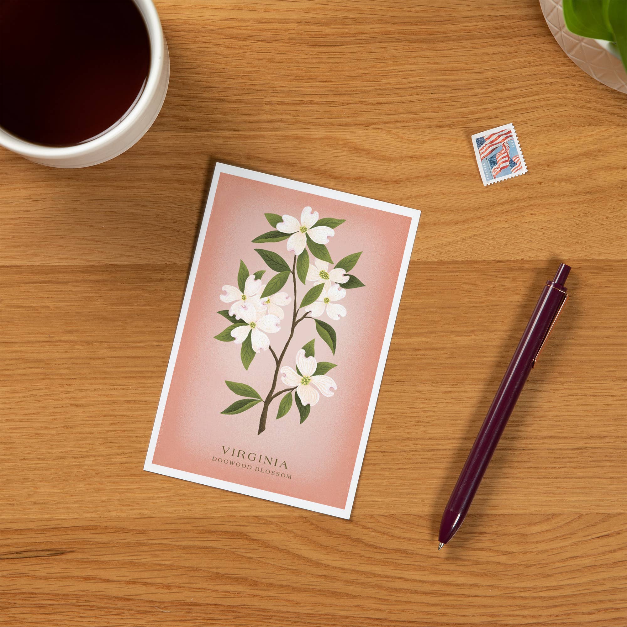 Lantern Press - PREMIUM POSTCARDS Virginia Vintage Flora Dogwood Blossom