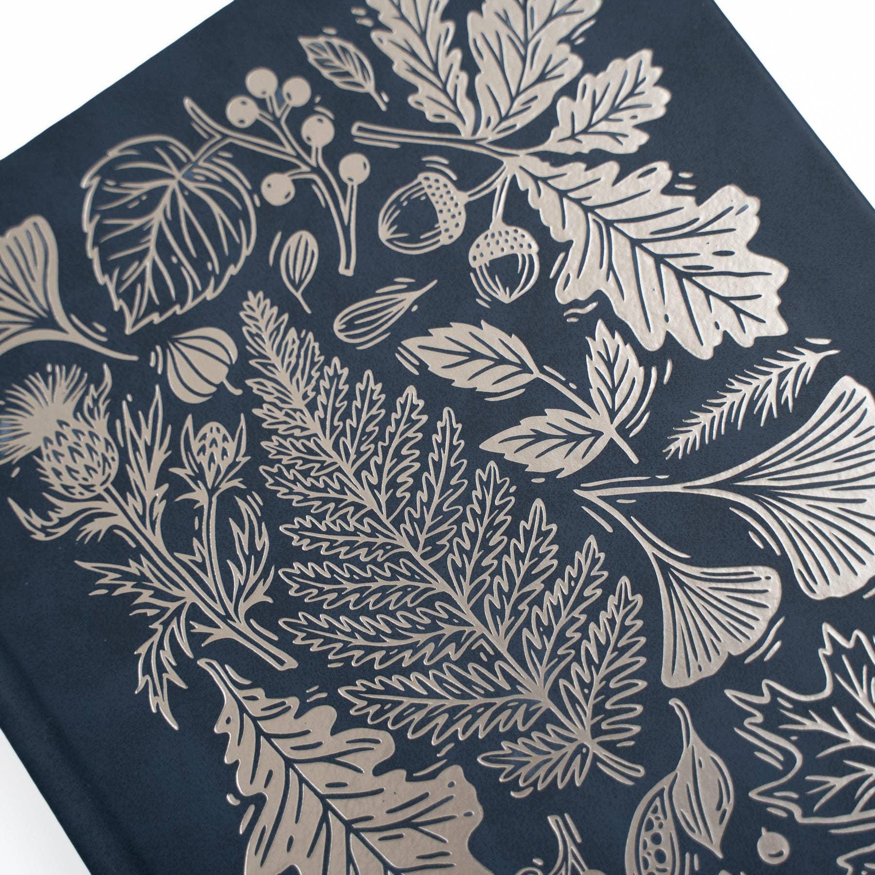 Archer and Olive - A5 Lined: Forest Impressions