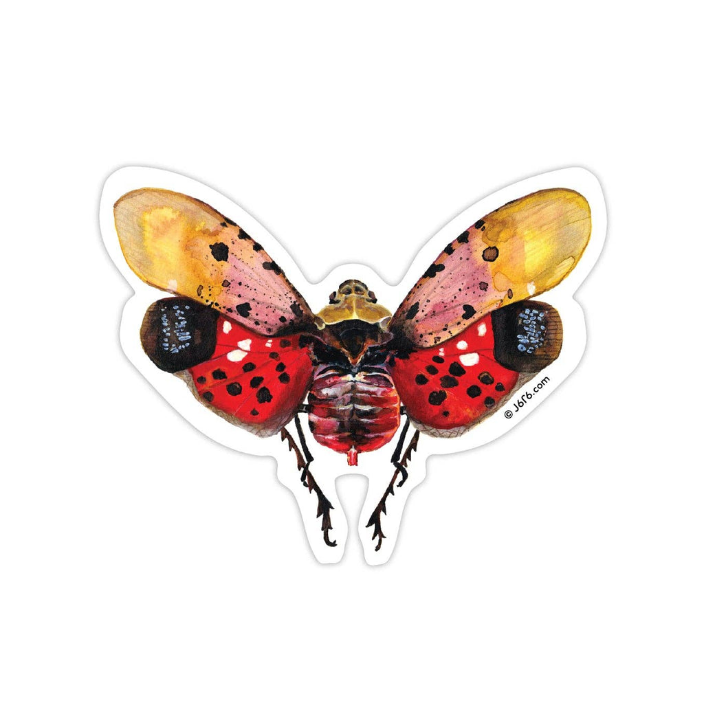 J6R6 - Lanternfly Vinyl Sticker