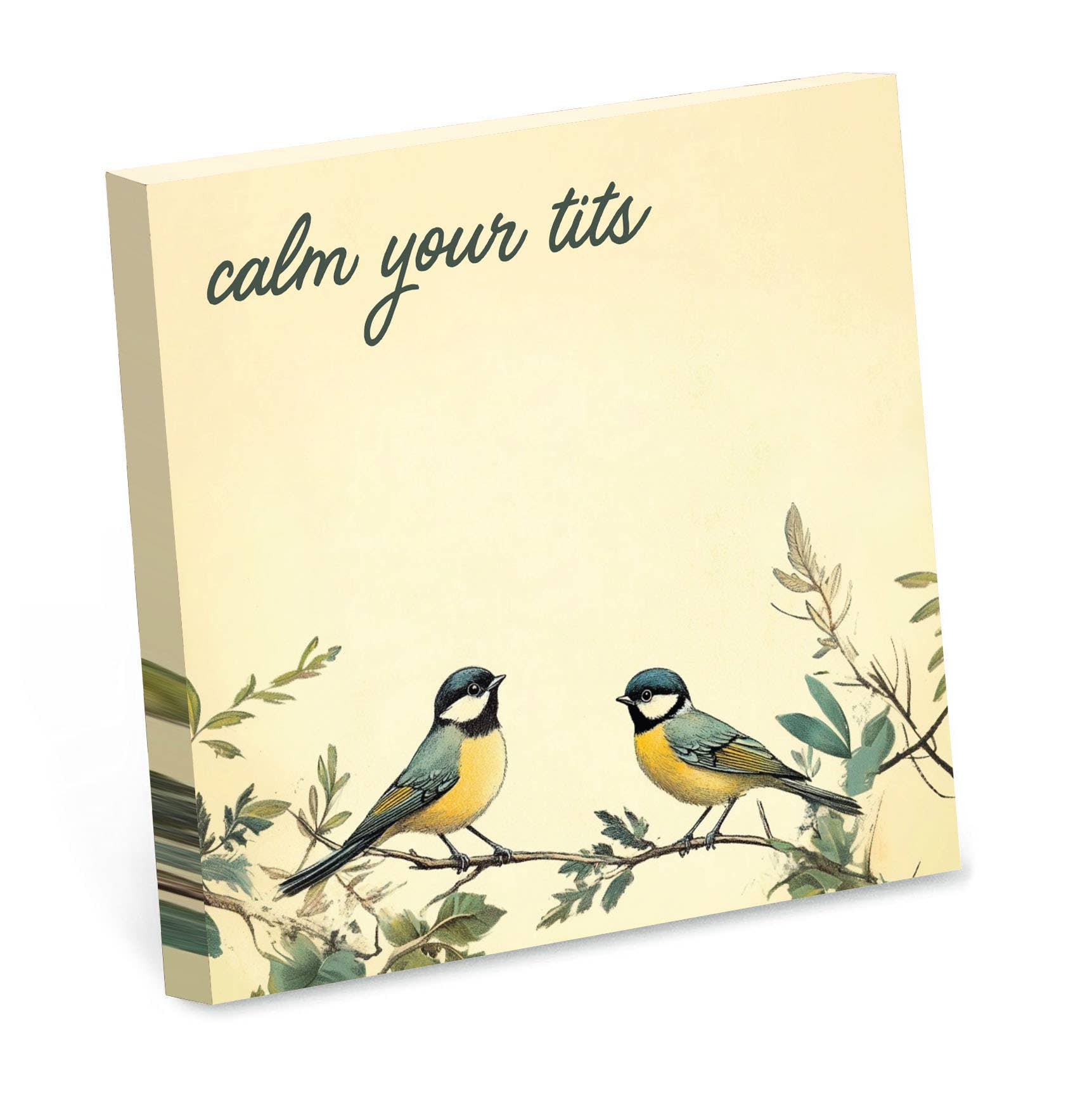 Bad Betty Greeting Co. - Calm Your Tits - Funny Sarcastic Sticky Note Pad
