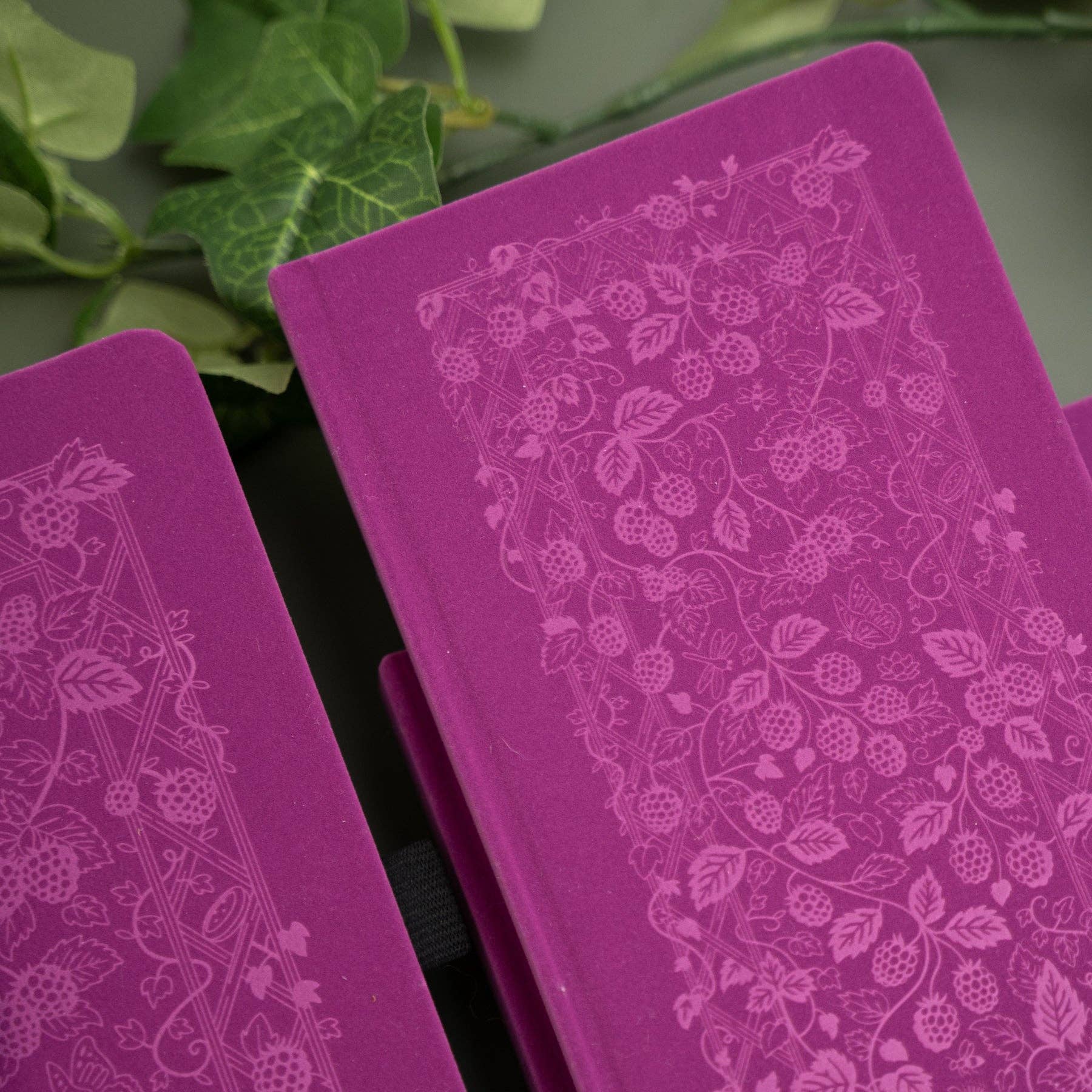 Archer and Olive - Berries & Vines | Notebook: Lined / A5