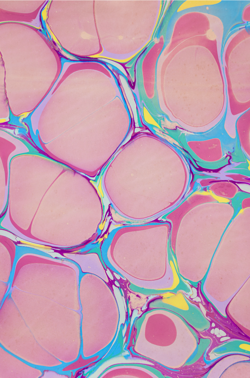 Glad & Young Studio - Meet & Greet Wallet: Champagne Problems