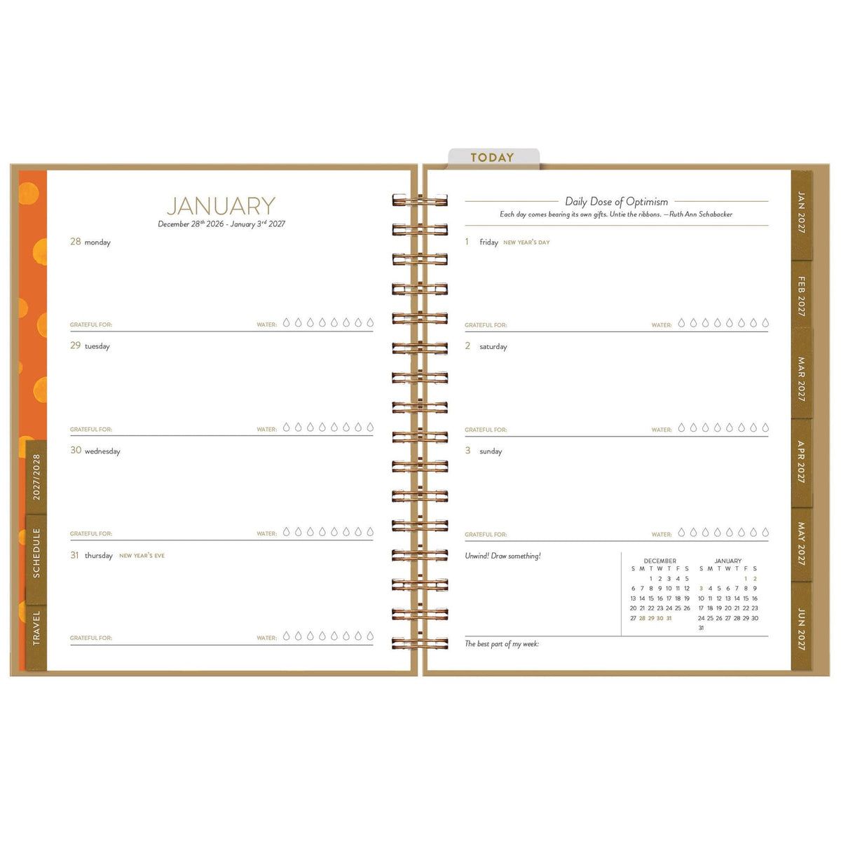 Seedlings, 2027 Samoyed - 12 Month Planner