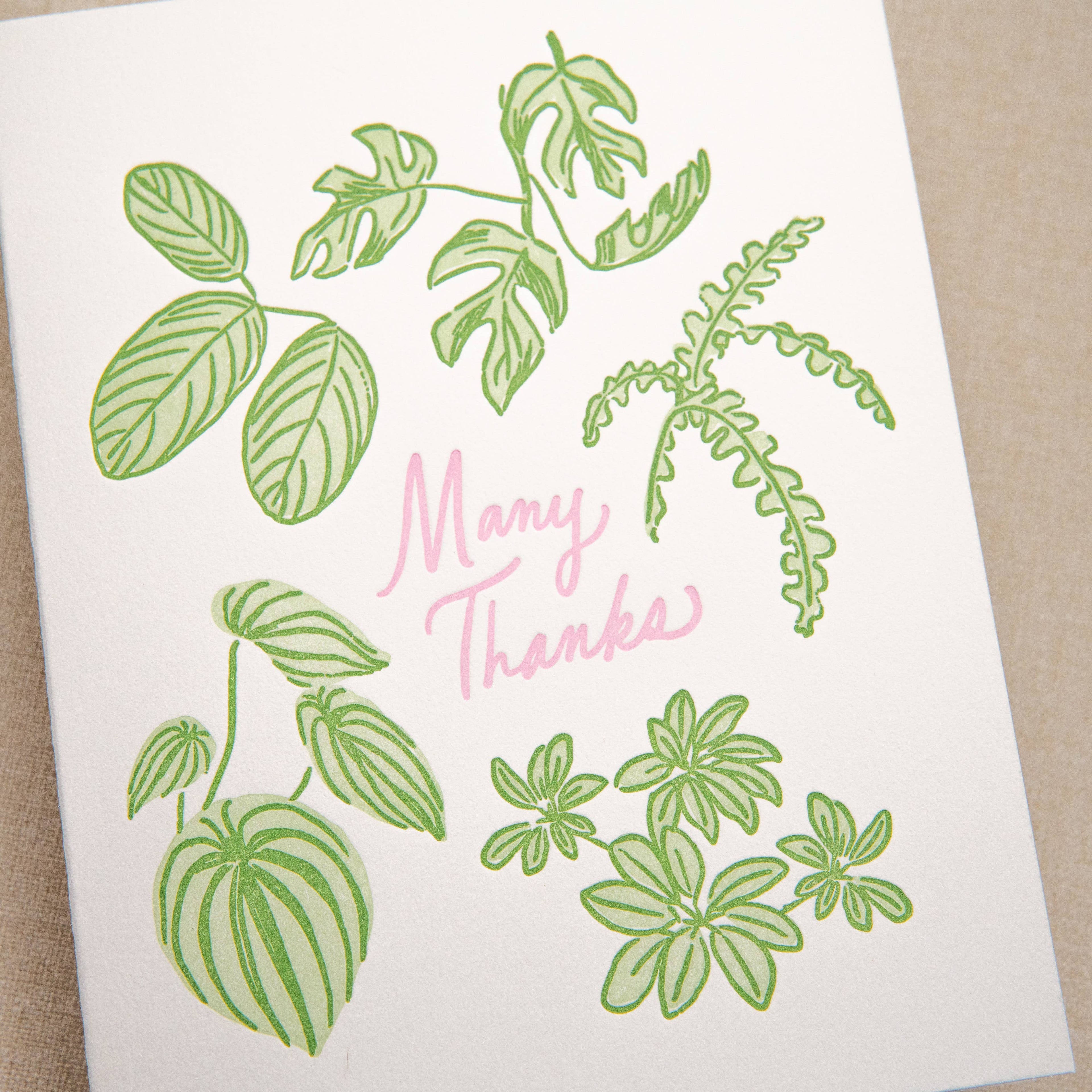Kindred Letterpress - Houseplant Thank You Card