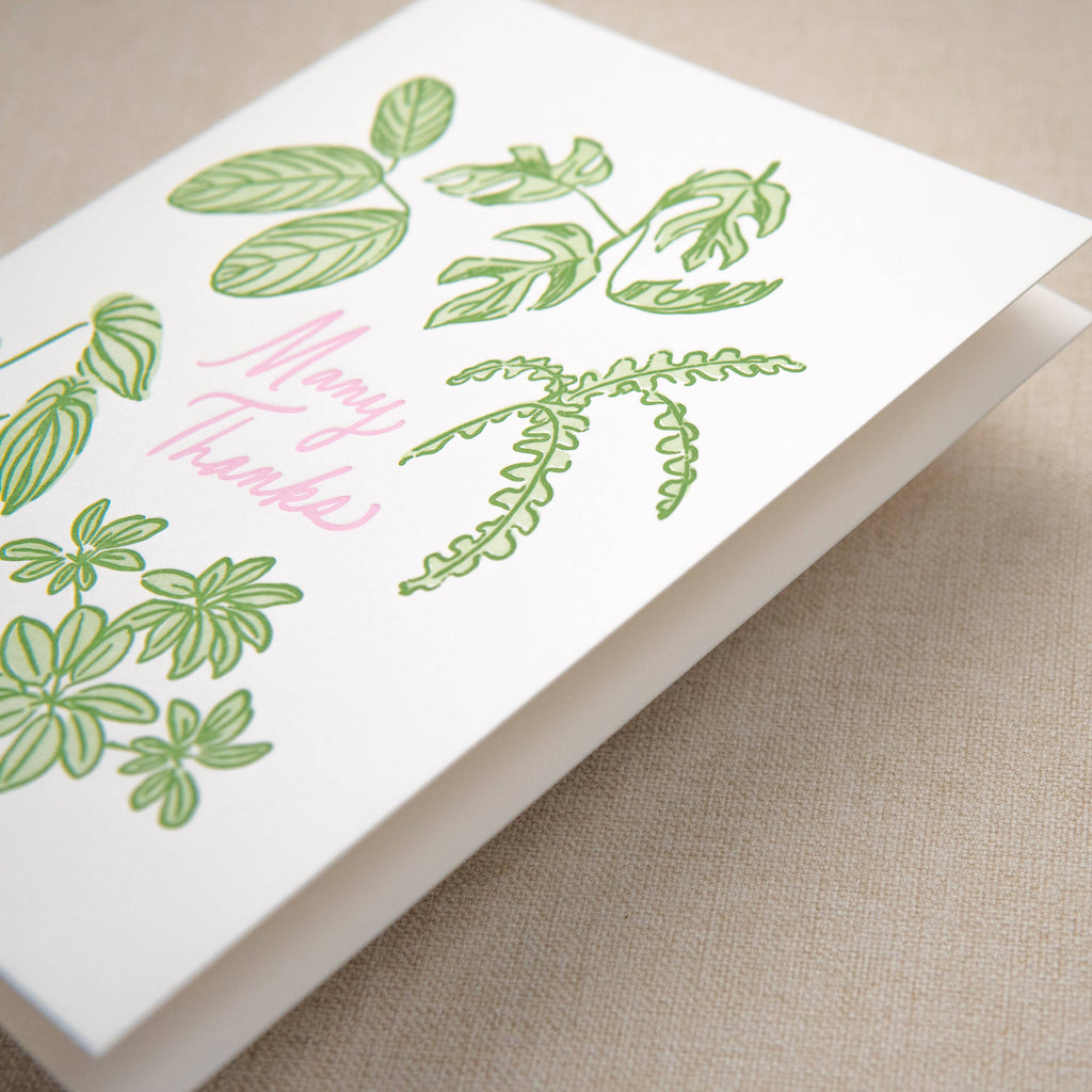 Kindred Letterpress - Houseplant Thank You Card