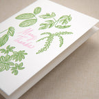 Kindred Letterpress - Houseplant Thank You Card