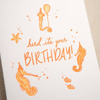 Kindred Letterpress - Seahorses Birthday Card | Letterpress Birthday Card