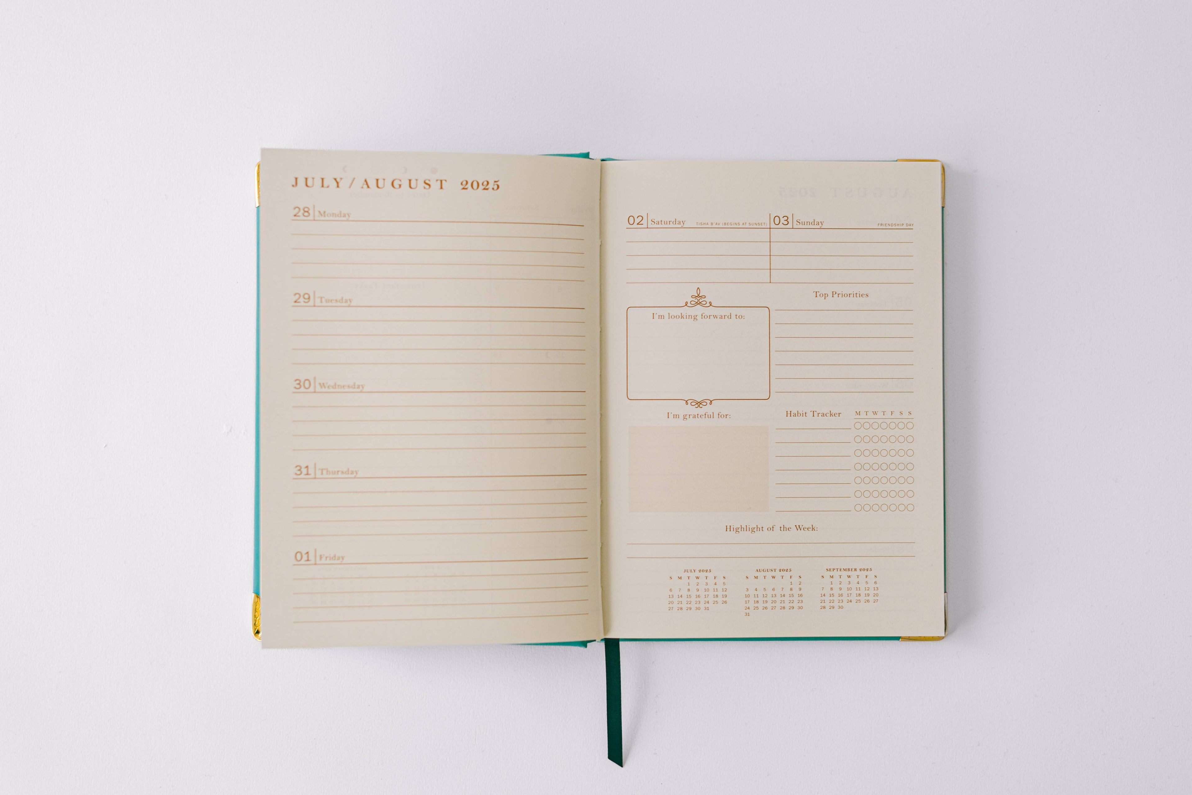 Good Juju Ink - 2026 Painted Frame 17-Month Medium Bound Planner